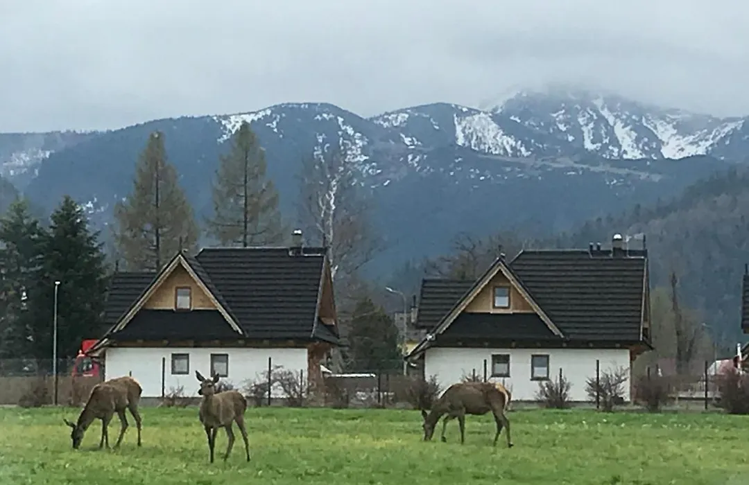 A3Apartament 2 pokojowy aneks kuchenny 2 łazienki na korytarzu-1